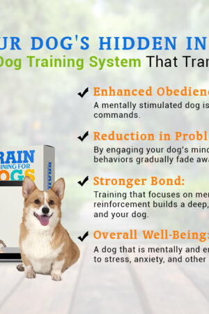 Brain Training For dogs