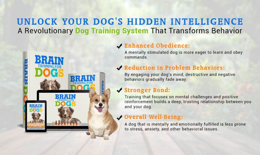 Brain Training For dogs